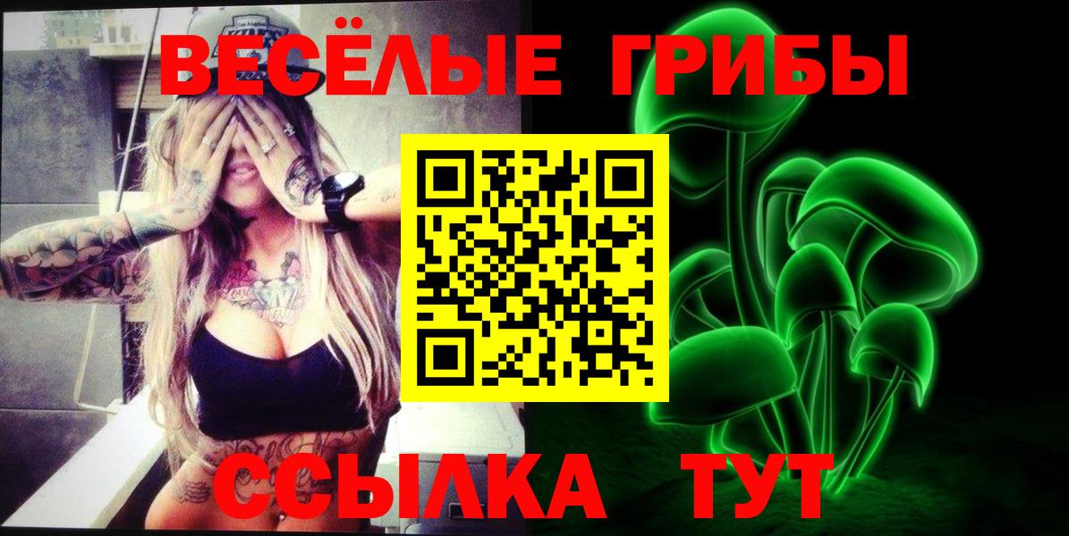 Псилоцибиновые грибы мицелий Урус-Мартан